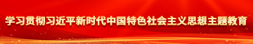 操湿了奶学习贯彻习近平新时代中国特色社会主义思想主题教育